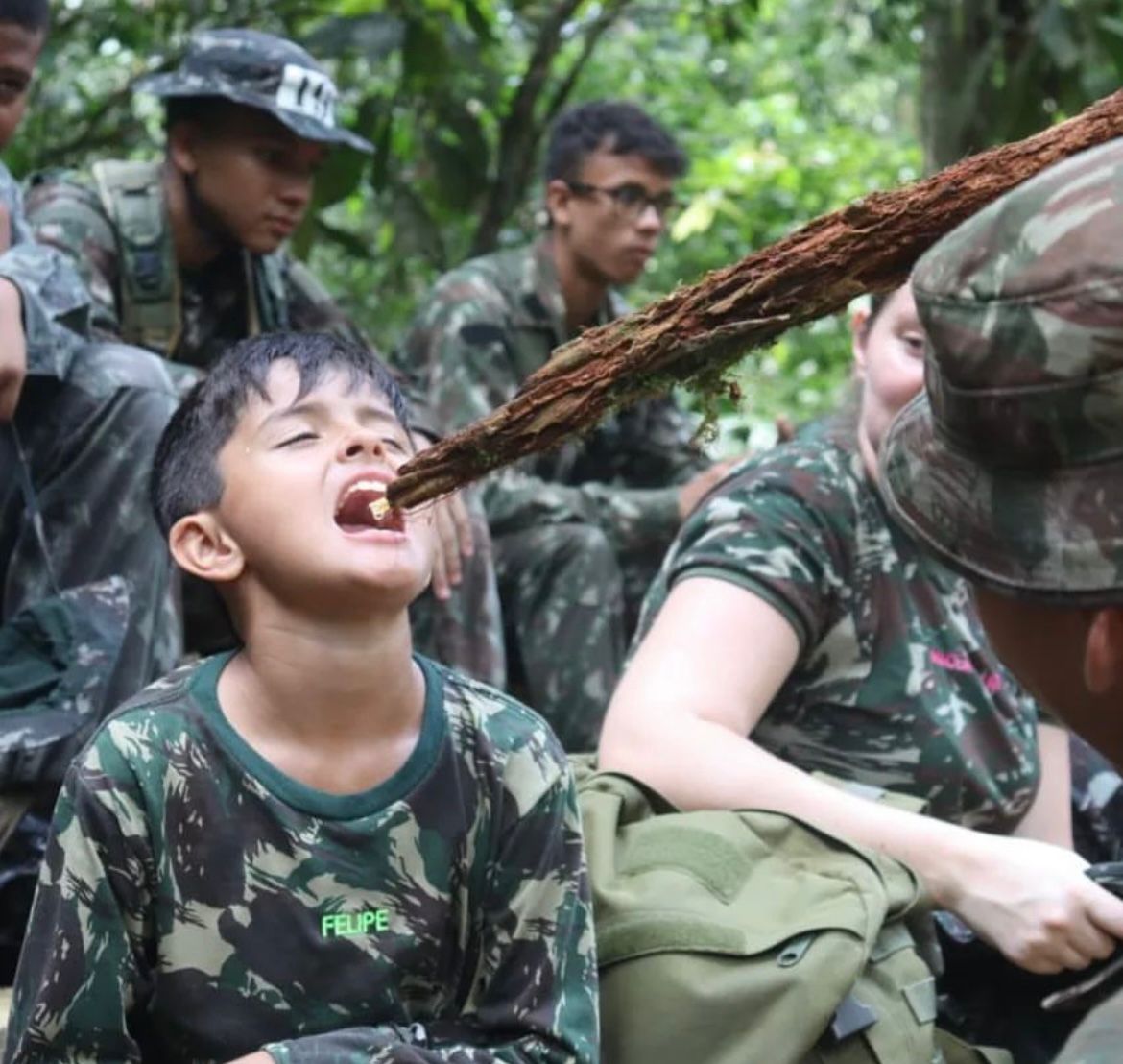 imagem sem descrição.